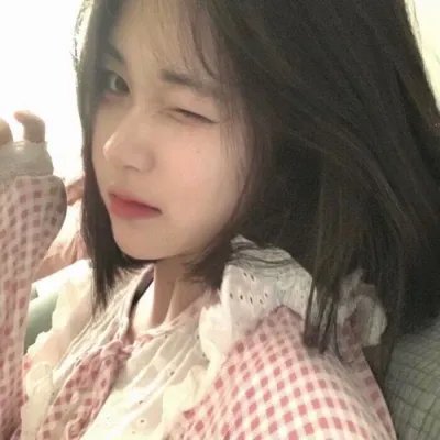 欧栗树